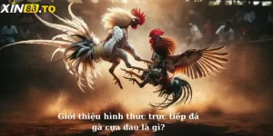 Giới thiệu chi tiết về đá gà cựa dao