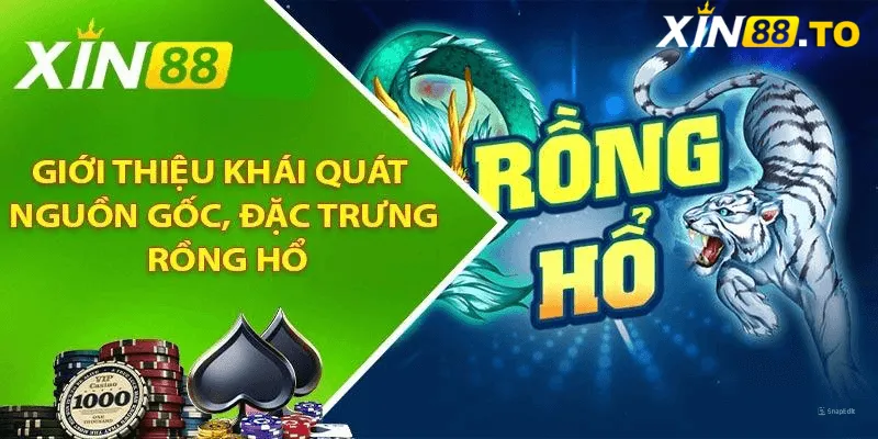 Giới thiệu chi tiết về trò chơi Rồng Hổ